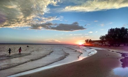 Sun, Sand, Swimming And Safety