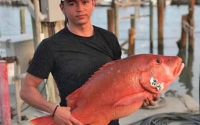 Texas fisherman reeled in record-breaking dogtooth