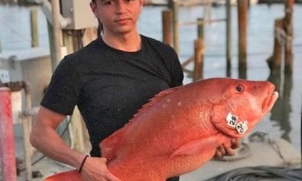 Texas fisherman reeled in record-breaking dogtooth