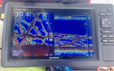 The 30 Foot Line…A Good Place to Fish in the Spring