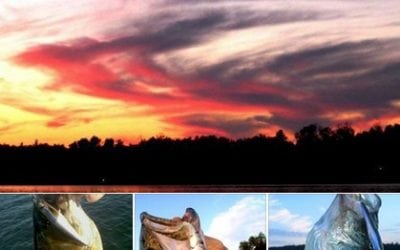 The Frontier Sports Fishing Report… June 13th, 2018