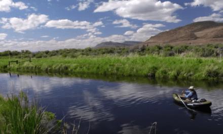 Todd Moen’s Airstream Fly Fishing Video is a Must-See