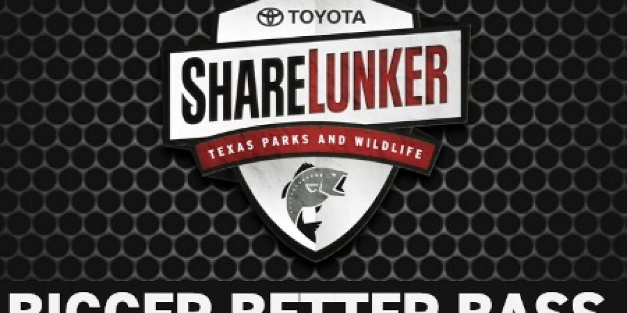 Toyota Sharelunker Program Welcomes Big Bass Entries through Dec. 31