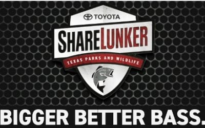 Toyota Sharelunker Program Welcomes Big Bass Entries through Dec. 31