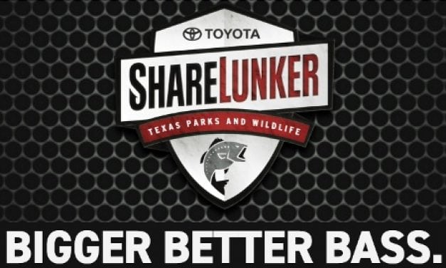 Toyota Sharelunker Program Welcomes Big Bass Entries through Dec. 31