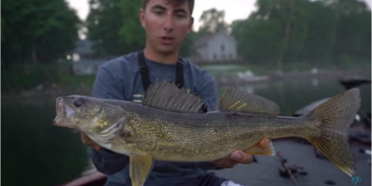Video: apbassing Unexpectedly Catches a Double-Tagged Walleye