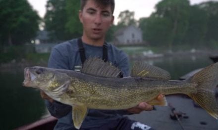 Video: apbassing Unexpectedly Catches a Double-Tagged Walleye