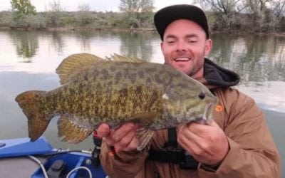 Video: Catching Big Smallmouth Bass on Topwaters with Hushin