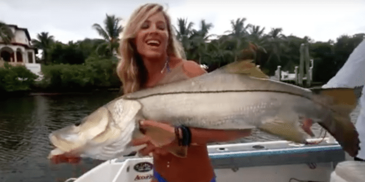 Video: Hooking Big Snook While Trolling in Florida Saltwater