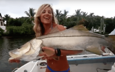 Video: Hooking Big Snook While Trolling in Florida Saltwater
