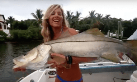 Video: Hooking Big Snook While Trolling in Florida Saltwater