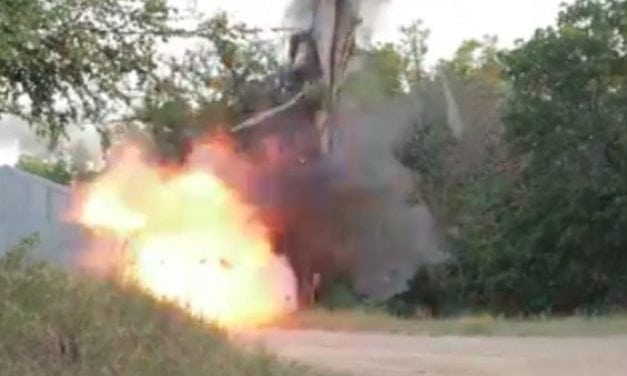Video: If You Need to Move a Tree, Just Blow It Up