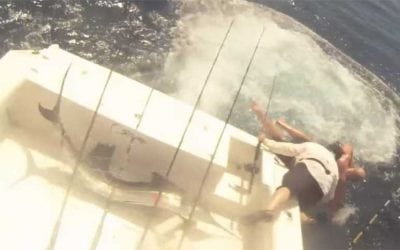 Video: Sailfish Jumps in Boat, Fishermen Jump Out
