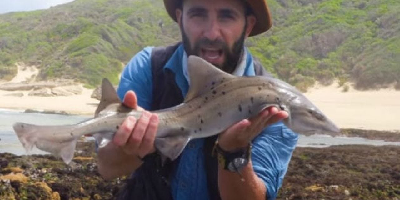Video: Watch Coyote Peterson Catch a Shark with His Bare Hands