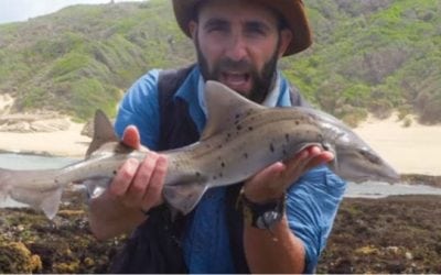 Video: Watch Coyote Peterson Catch a Shark with His Bare Hands