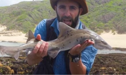 Video: Watch Coyote Peterson Catch a Shark with His Bare Hands