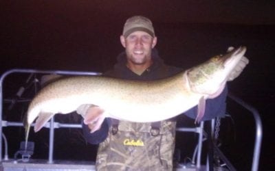 What Lurks Beneath, June 2018