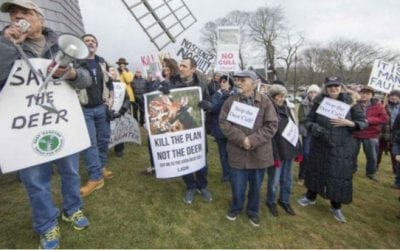 Why Worrying About Anti-Hunters is a Total Waste of Time