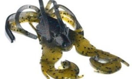 Wicked Bass Bait For Flipping and More – Riot Baits Relic