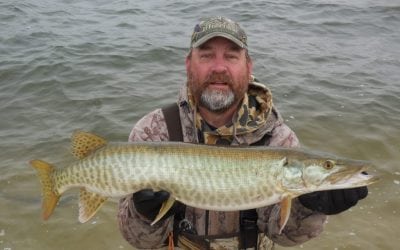 “Yes, We Have No Muskellunge”