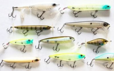 10 New Berkley Topwater Fishing Lures Released for 2018