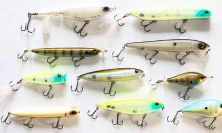 10 New Berkley Topwater Fishing Lures Released for 2018