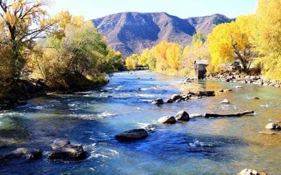 12 Best Trout Fishing Destinations in Colorado