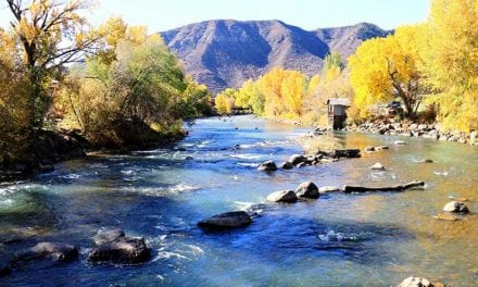 12 Best Trout Fishing Destinations in Colorado