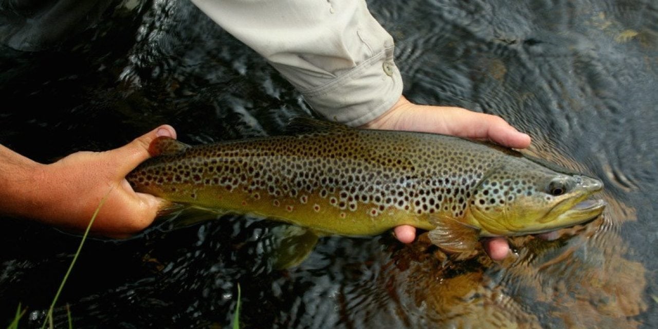 18 Best Trout Streams in the Western U.S. and Canada