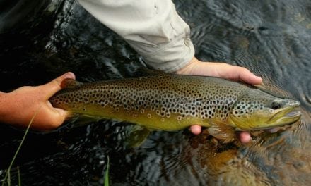 18 Best Trout Streams in the Western U.S. and Canada