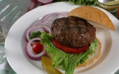 3 Awesome Elk Burger Recipes