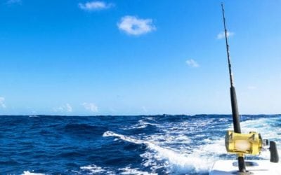 4 Electric Fishing Reels That Will Make You Want to Sell Your Car