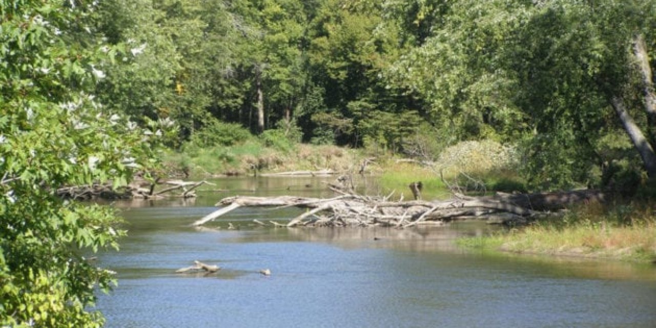 5 Rivers to Fish in Indiana Before Summer Ends