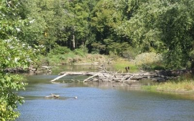 5 Rivers to Fish in Indiana Before Summer Ends