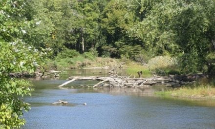 5 Rivers to Fish in Indiana Before Summer Ends