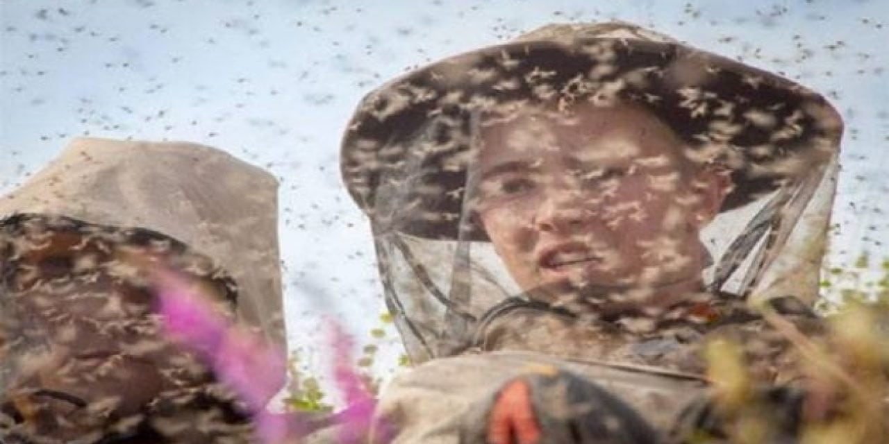 7 Photos of Outdoorsmen Dealing with Bugs