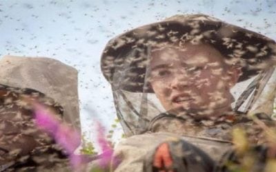 7 Photos of Outdoorsmen Dealing with Bugs