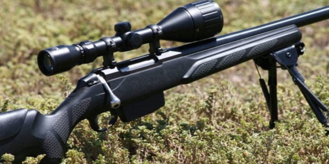 9 Best Varmint Rifles for Predator and Varmint Hunting. 