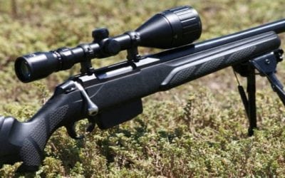 9 Best Varmint Rifles for Predator and Varmint Hunting