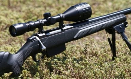9 Best Varmint Rifles for Predator and Varmint Hunting