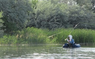 Adventure Report, Early Summer 2018