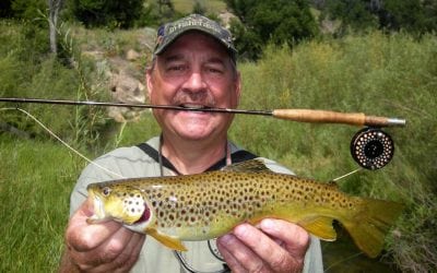 Better Fish Pictures