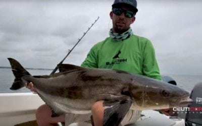 BlacktipH Lands a Giant Cobia in Chesapeake Bay