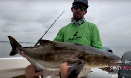 BlacktipH Lands a Giant Cobia in Chesapeake Bay
