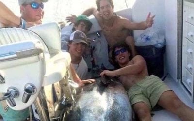 Did This Huge Blue Marlin Just Pay an Angler’s College Tuition?