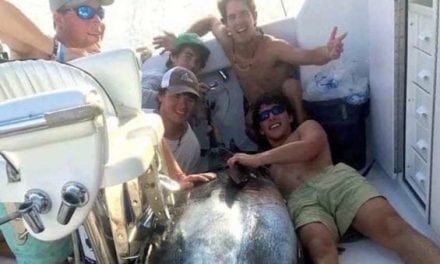 Did This Huge Blue Marlin Just Pay an Angler’s College Tuition?