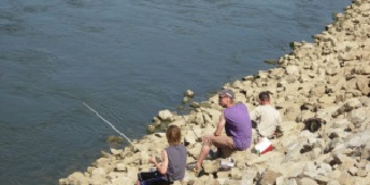 FALL FISHING ACTION MOVES TO THE SHORE