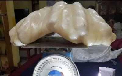 Fisherman Discovers Filipino Pearl Worth $100 Million Dollars