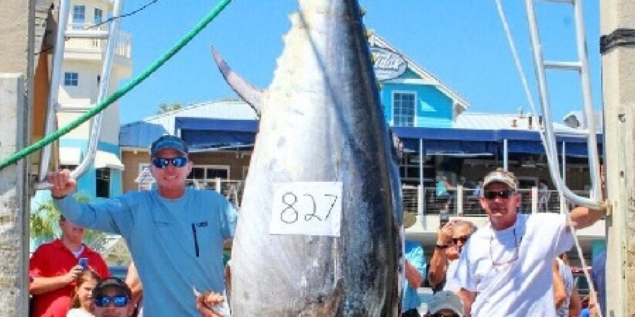 FWC approves new Florida Saltwater Fishing Records