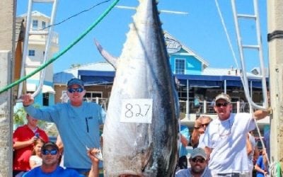 FWC approves new Florida Saltwater Fishing Records